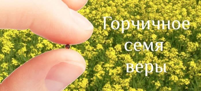 Суть веры