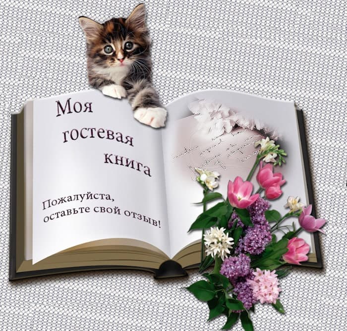 Гостевая книга Андрея Булатова, 3 часть, на обиженных воду возят