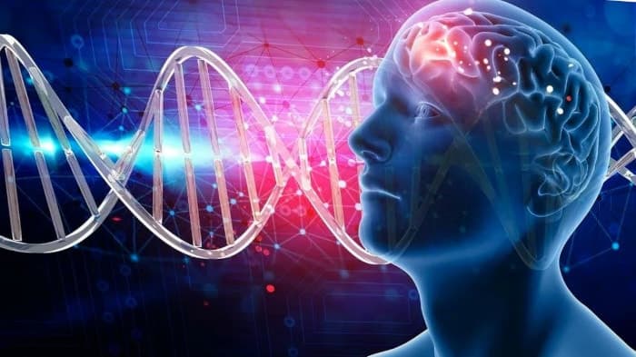 Нейрофизиологическая теория психики человека